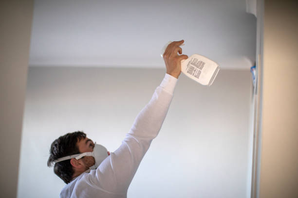 Best DIY Mold Remediation Support Services in Harlingen, TX