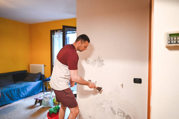 Best Health and Safety Mold Remediation in Harlingen, TX